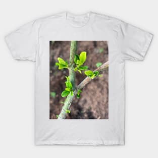 Gardenia Sprout T-Shirt